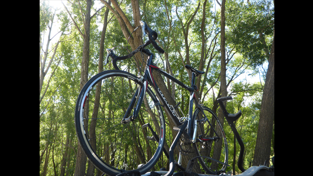 Get Inspired - LUMIX Digital Camera DMC-FT5GN